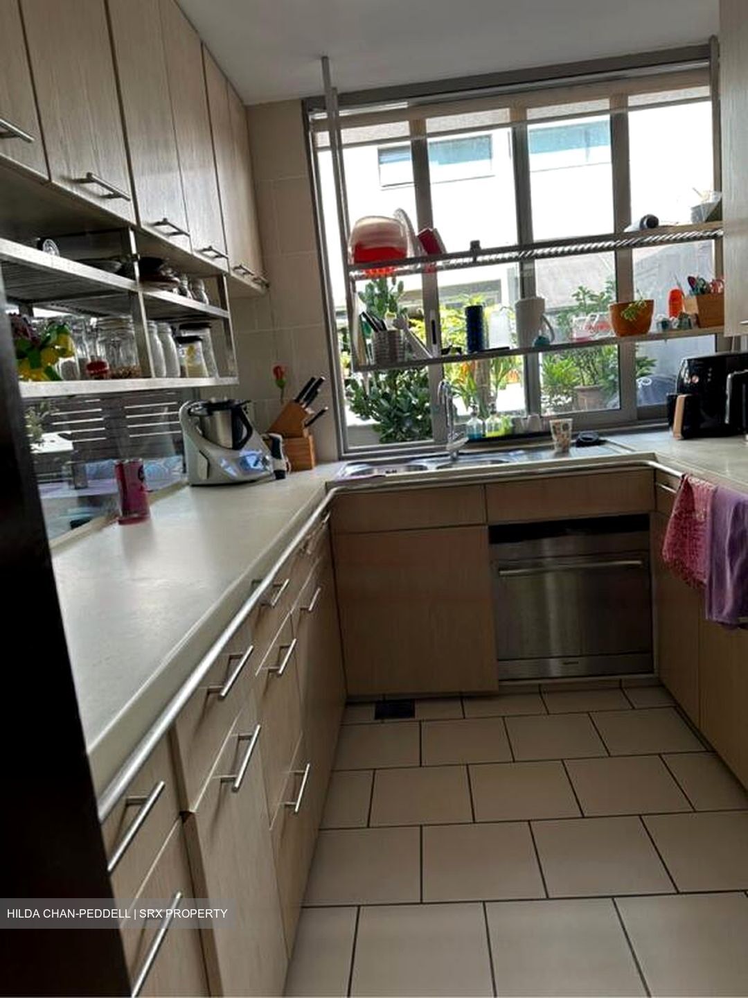 The Teneriffe (D10), Terrace #527976711